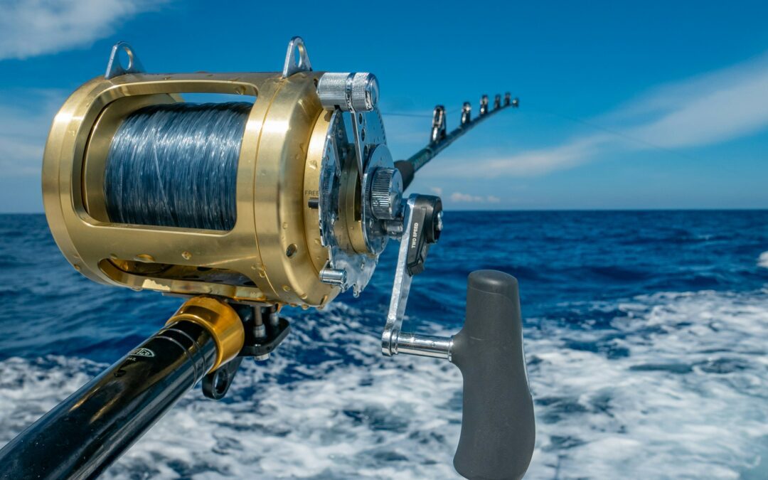 Everything You Need To Know About The Species Spectacular Fishing Comp